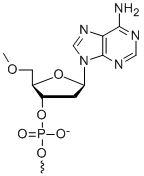 Bio-Synthesis Inc. Oligo Structure